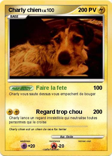 Pokemon Charly chien