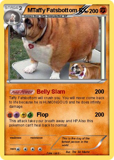 Pokemon MTaffy Fatsbottom EX