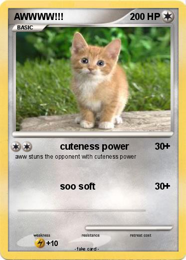 Pokemon AWWWW!!!