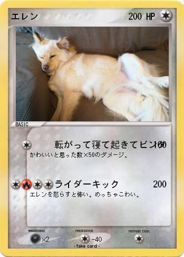Pokemon エレン