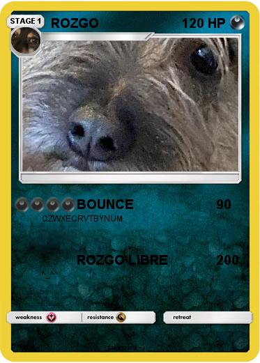 Pokemon ROZGO