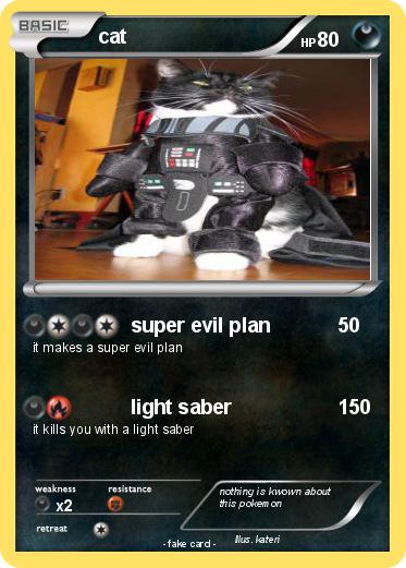 Pokemon cat