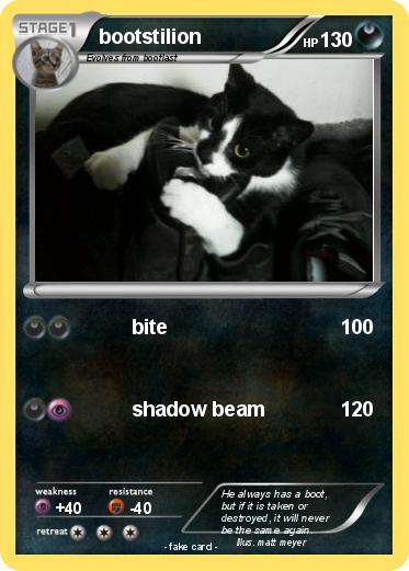 Pokemon bootstilion