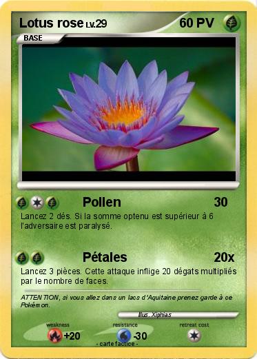 Pokemon Lotus rose