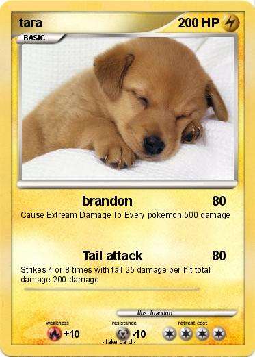 Pokemon tara