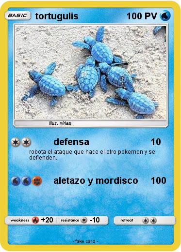 Pokemon tortugulis