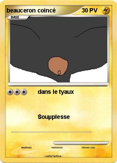 Pokemon beauceron coincé