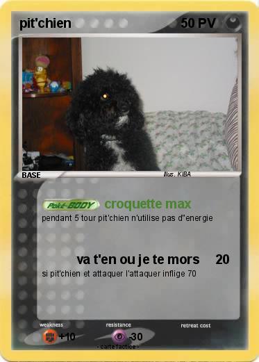 Pokemon pit'chien