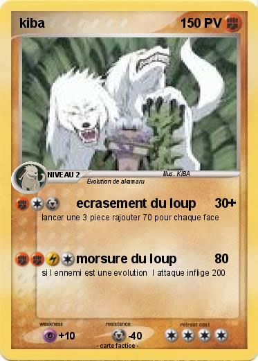 Pokemon kiba