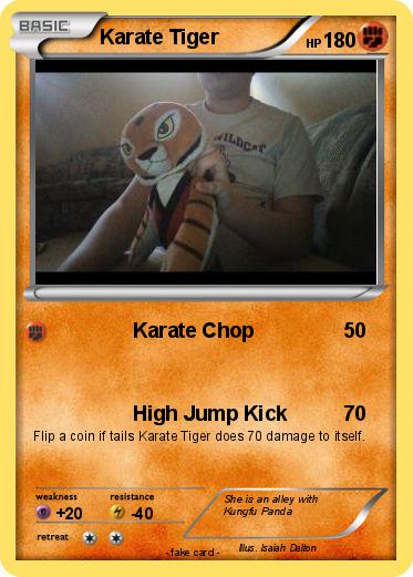 Pokemon Karate Tiger