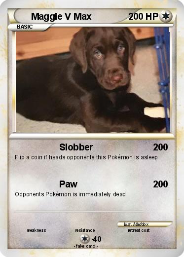 Pokemon Maggie V Max