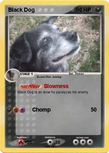 Pokemon Black Dog