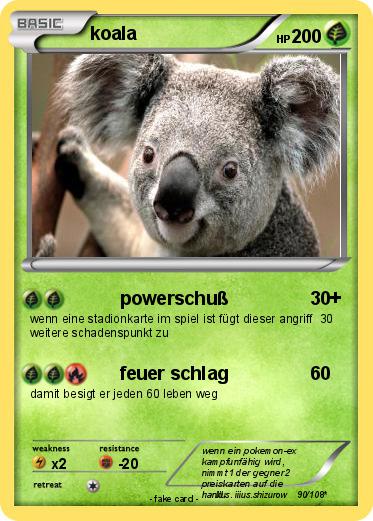 Pokemon koala