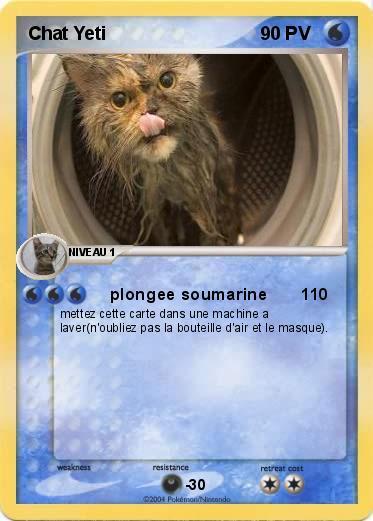 Pokemon Chat Yeti