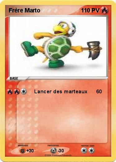 Pokemon Frère Marto