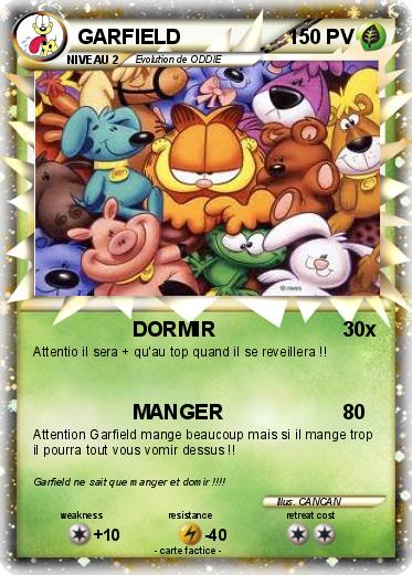 Pokemon GARFIELD