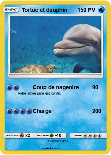Pokemon Tortue et dauphin