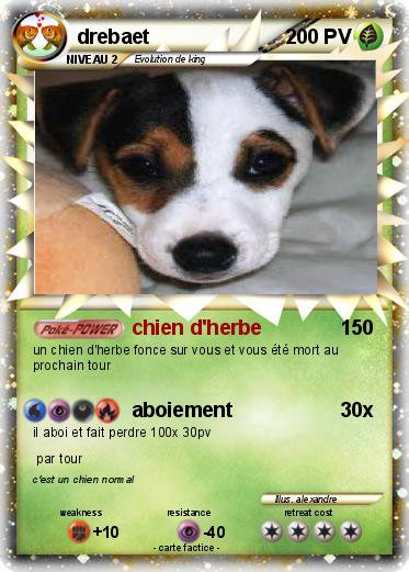 Pokemon drebaet