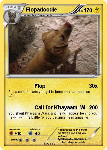 Pokemon Flopadoodle