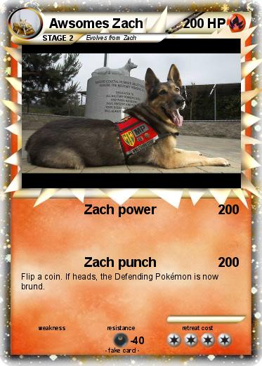 Pokemon Awsomes Zach