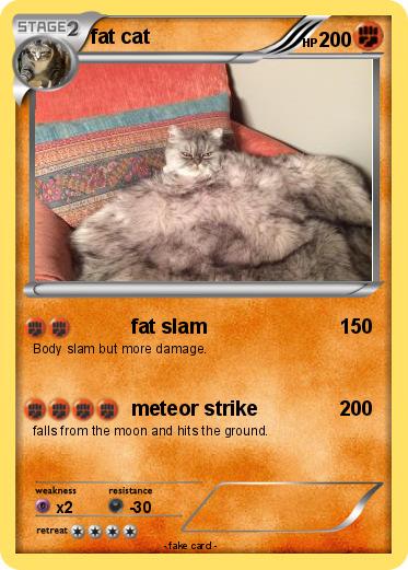 Pokemon fat cat