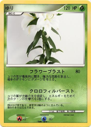 Pokemon ゆり
