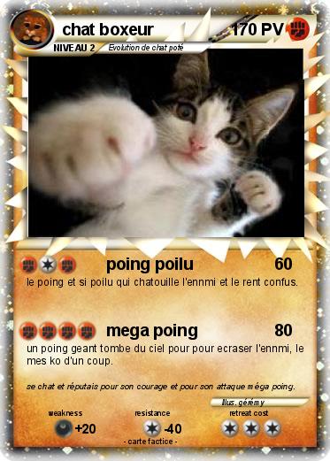 Pokemon chat boxeur