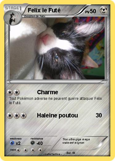 Pokemon Felix le Futé