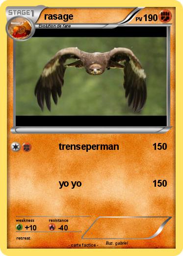 Pokemon rasage