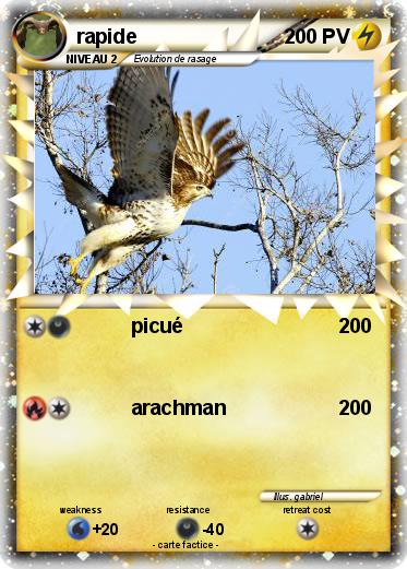 Pokemon rapide