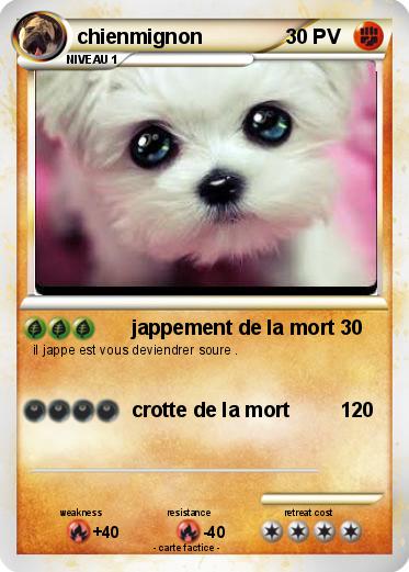 Pokemon chienmignon