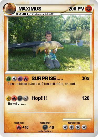 Pokemon MAXIMUS
