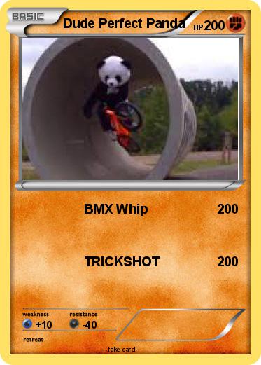 Pokemon Dude Perfect Panda