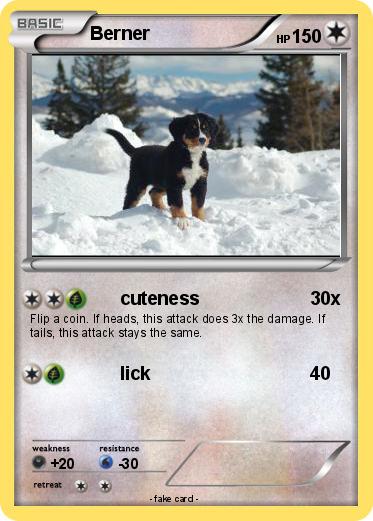 Pokemon Berner