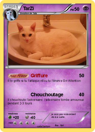 Pokemon TarZi