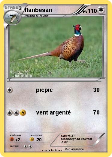 Pokemon flanbesan