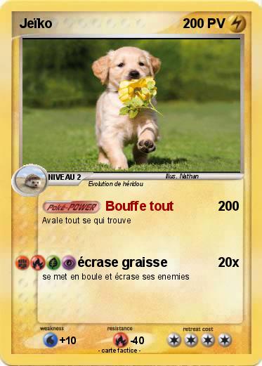 Pokemon Jeïko
