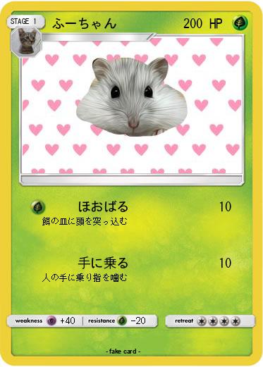 Pokemon ふーちゃん