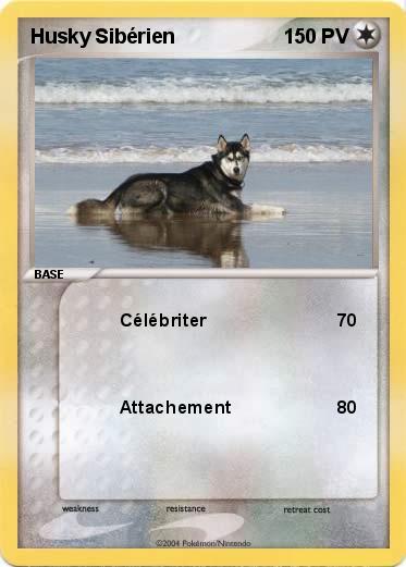 Pokemon Husky Sibérien