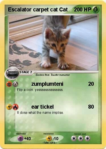 Pokemon Escalator carpet cat Cat