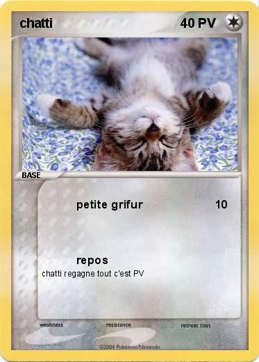 Pokemon chatti