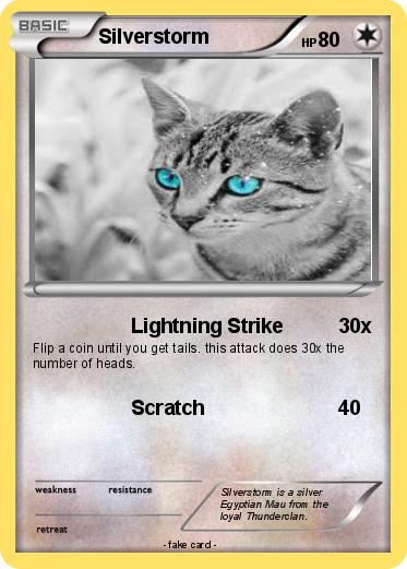 Pokemon Silverstorm