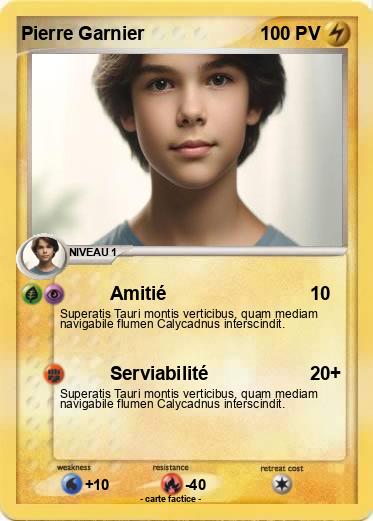 Pokemon Pierre Garnier