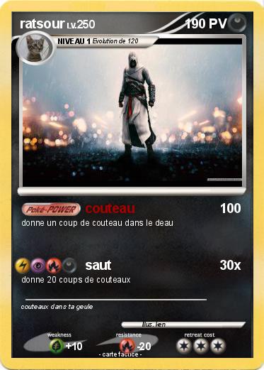Pokemon ratsour