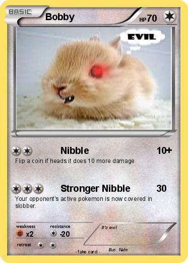 Pokemon Bobby