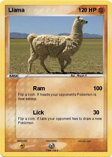 Pokemon Llama