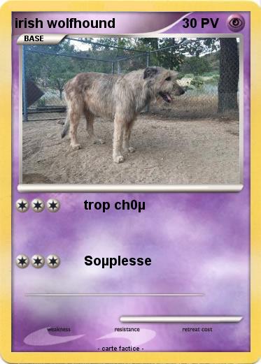 Pokemon irish wolfhound