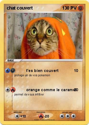Pokemon chat couvert