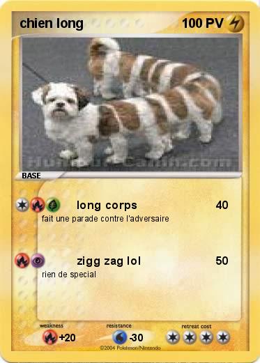 Pokemon chien long