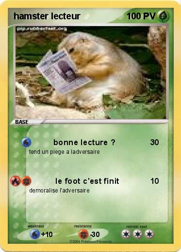 Pokemon hamster lecteur